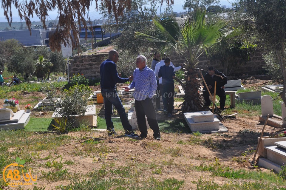 tasohamlalanjna (7).jpg